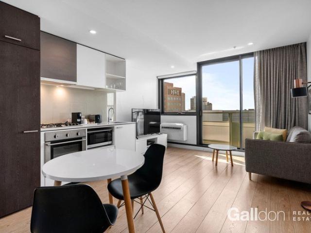 Natural Light & Elevated City Views
