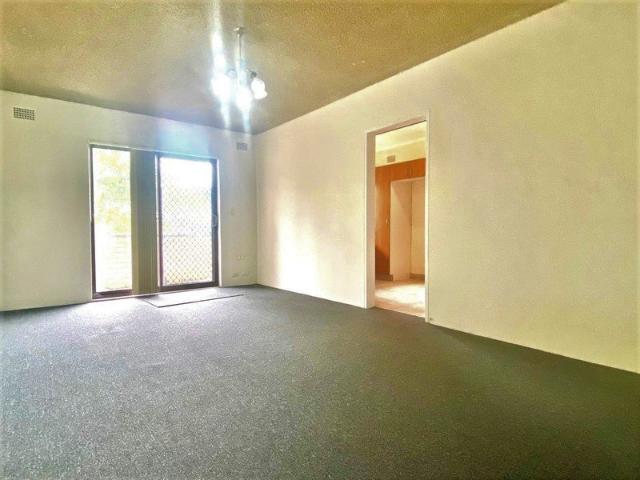 Natural Light Throughout