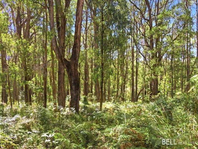 Nature lovers bush getaway