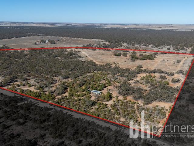 Nature Lovers Paradise Affordable Living on 91.95 Acres