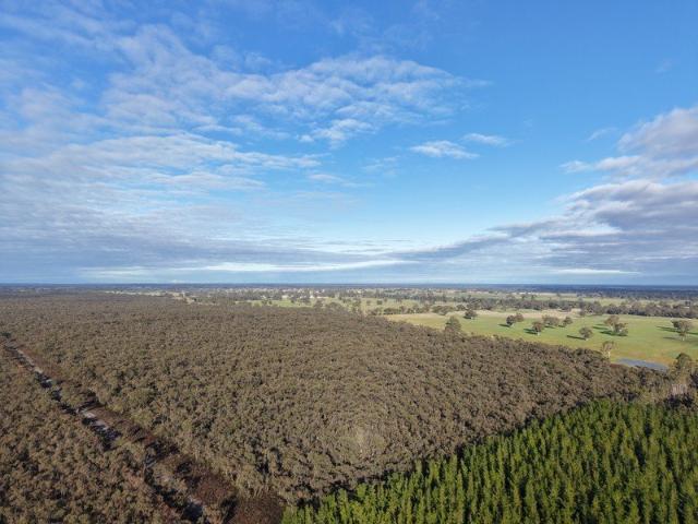 Nature & Lifestyle Opportunity