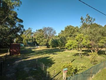 Falmouth, Break Oday, Tasmania Island