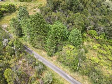 Queenstown, West Coast, Mount McCutcheon