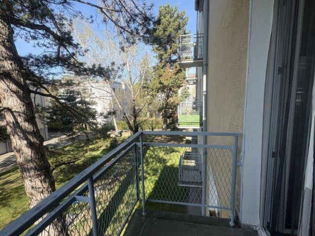 Natürlich beschattete 2 Zimmer mit Balkon und separater Küche