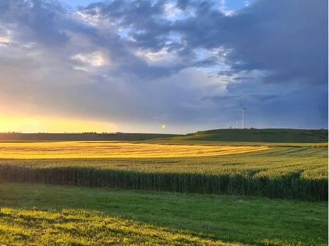Naturliebhaber aufgepasst! 2,5 Zimmer Wohnung im EG mit Terrasse & traumhaften Blick