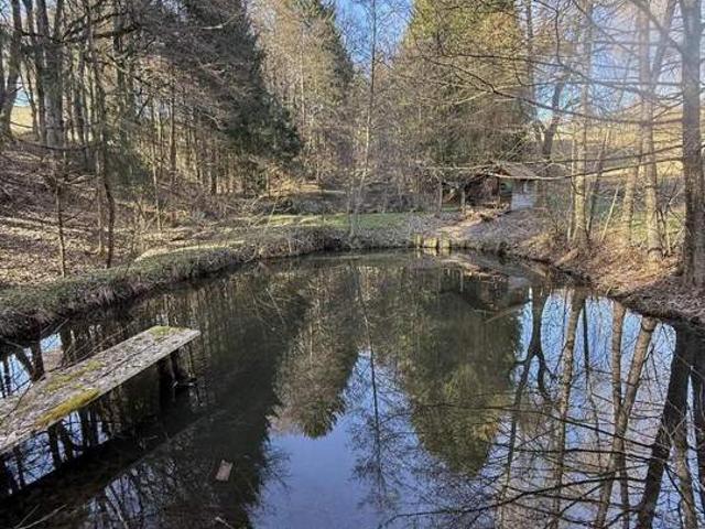Naturparadies: großzügiges Anwesen in sonniger Ruhelage nahe Paldau!