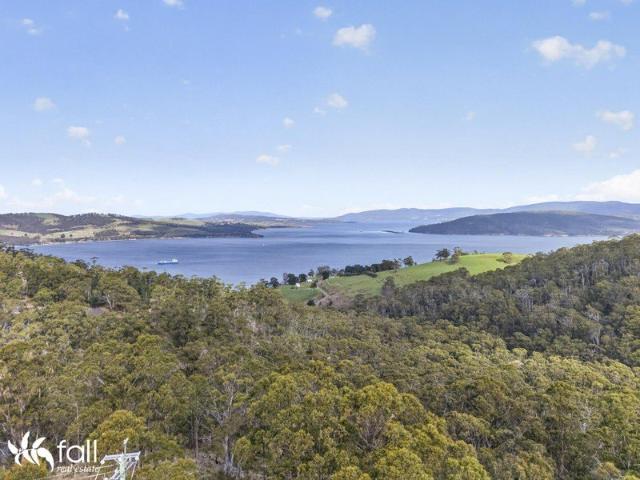 Native Bush Retreat with Development Potential
