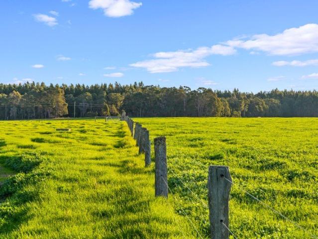 Native Timber, Productive Grazing & Water
