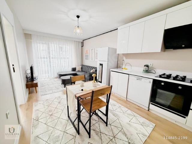 NATOYOLU CAD YAKINI EŞYALI 1+1 KULLANIŞLI DAİRE