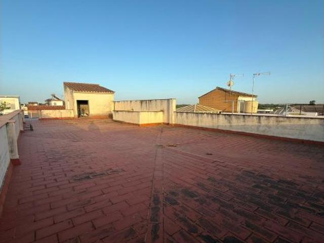 Nave en construcción en Alcolea del Río Sevilla con proyecto y azotea ?️