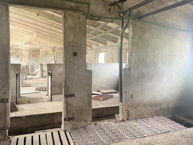 Nave Industrial