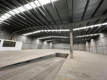 Nave Industrial en Ing. Eulalio Guti?rrez Trevi?o