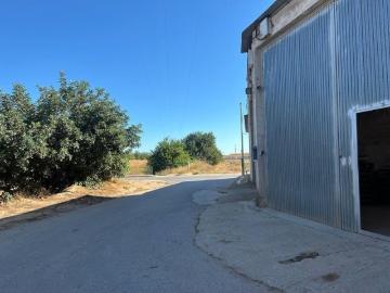 Miranda, Torre Vieja, Villamartin, Alicante, Urbanización Lomas D Juan Este, Alicante, Comunidad Valenciana, Comunidad Valenciana