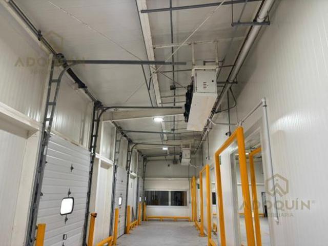 Nave Refrigerada en Renta | Canc?n, Quintana Roo