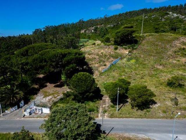 Nazaré Leiria 103384336