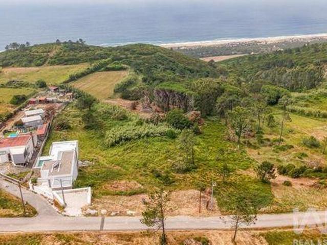 Nazare Leiria 103429609