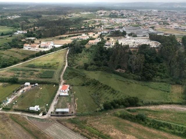 Nazaré Nazaré 98362872