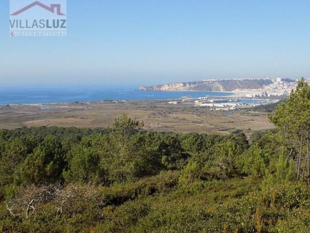 Nazaré Nazaré 99792309