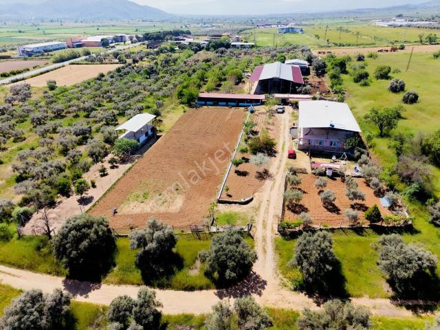 Nazilli bozdoğan Hattında, Muhteşem Çiftlik Evi