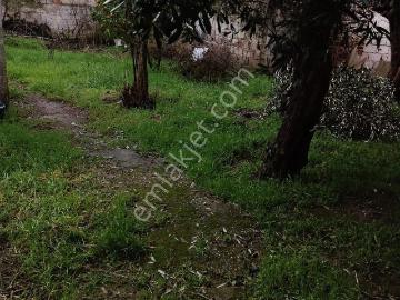 Nazilli Pınarbaşı Mah Satılık 509 M2 Arsa İçerisinde Müstakil Ev