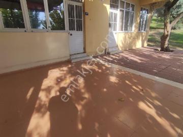 Nazilli, Aydın ili, Ege Bölgesi - Ofis odası