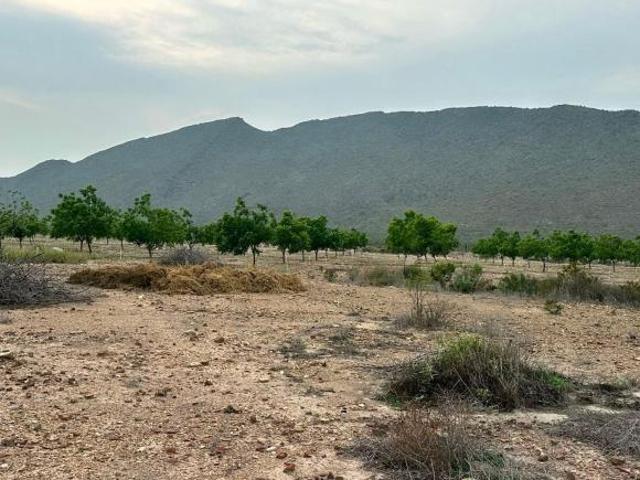 NBA TERRENOS CAMPESTRES EN RAMOS ARIZPE EN COAHUILA