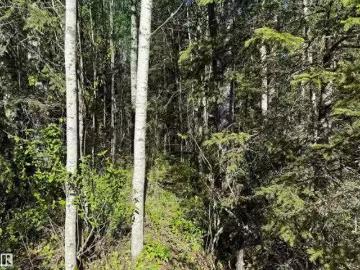 Ne W Of 4, Rural Athabasca County, AB, T0G 0R0 vacant land f.