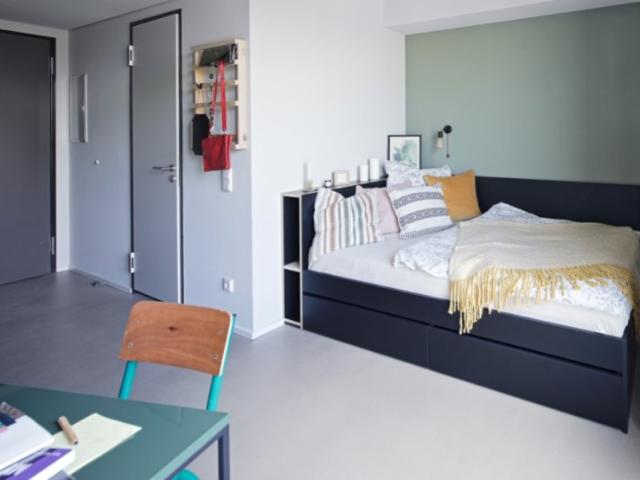 Neon Holz Studentenhaus Classic Apartment Neon Wood Student Housing Classic Apartment