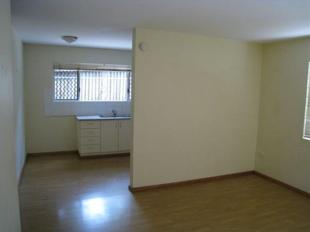 Neat One Bedroom Unit in Northgate
