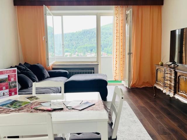Neat, amazing suite located in Bad Herrenalb