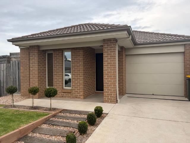 NEAT AND TIDY THREE BEDROOM HOME WITH ADDED BONUS OF LARGE SHEDDING