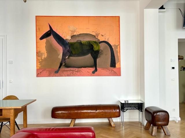 Neat and amazing apartment, Vienna Amsterdam Apartments for Rent
