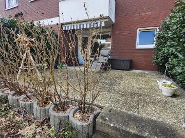 Wohnung zur Miete in Nikolassee - Terrasse