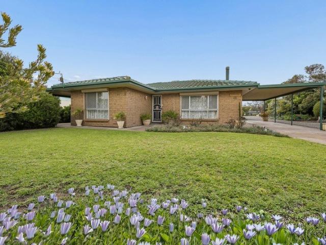 Neat as a Pin Home with Massive Shed on 1,621m² Allotment