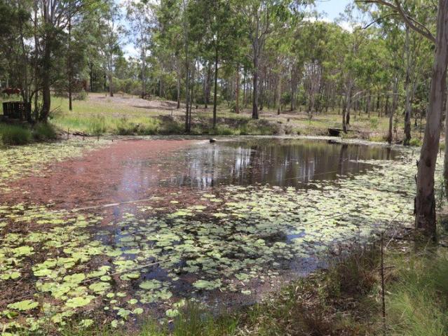 NEAT HOME ON ACREAGE at YANDARAN