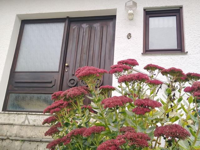 Neat, quiet flat in Regensburg, Regensburg Amsterdam Apartments for Rent