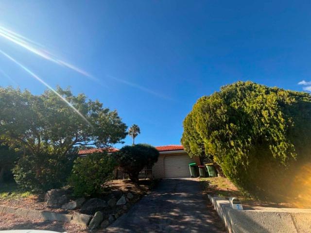 Neat & Tidy 3 Bedroom Home with Huge Workshop on 688sqm Block