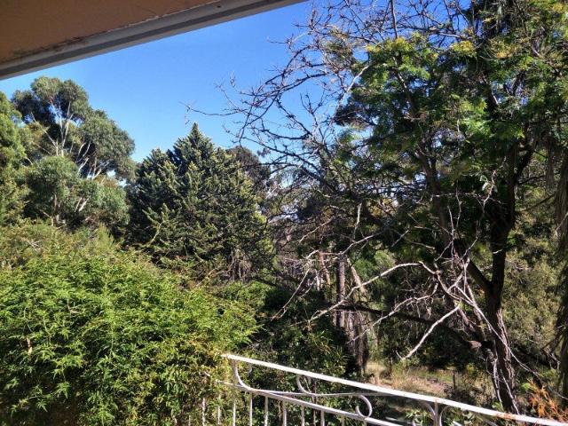 Neat & tidy with fantastic balcony views | Available 6/11/26