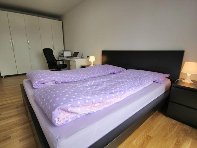 Neat, wonderful suite, Frankfurt am Main, Frankfurt Amsterdam Apartments for Rent