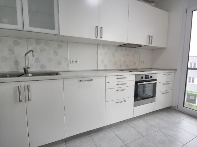 Neat, wonderful suite, Frankfurt am Main, Frankfurt Amsterdam Apartments for Rent