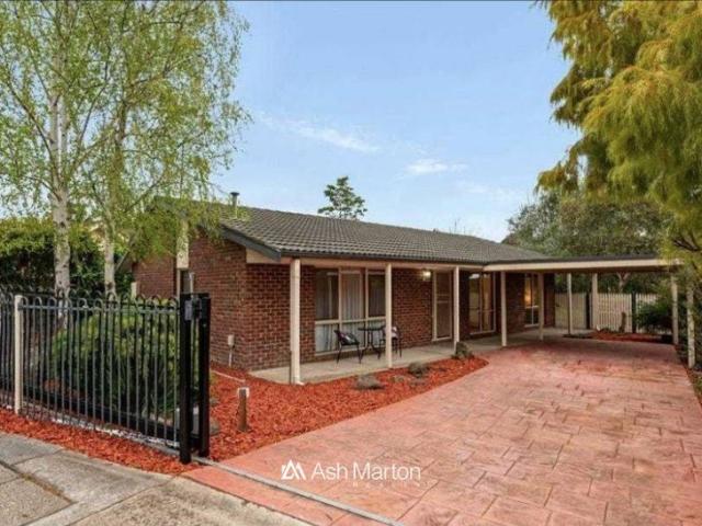 Neat 3 Bedroom Langwarrin Gem Steps from Everything!
