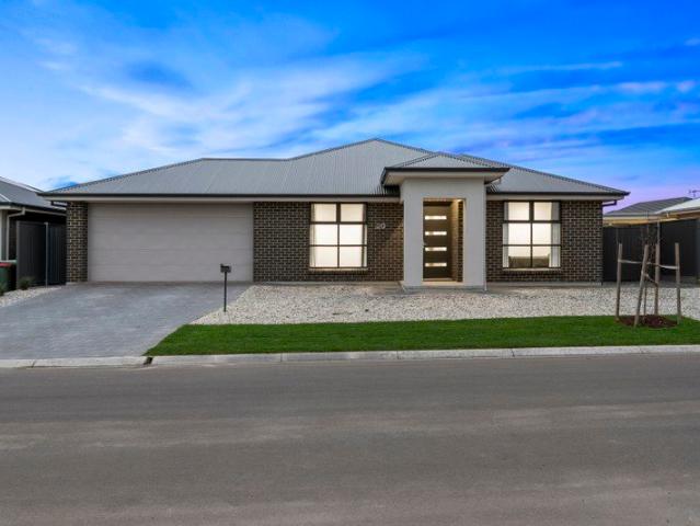Near New Family Living with Serious Shedding, Solar & Space!