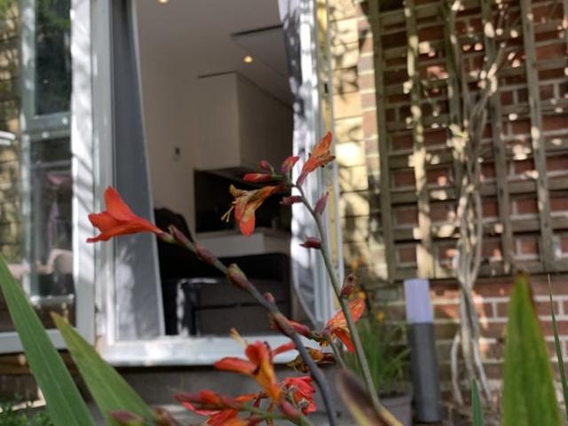 Near beach/Short walk to train station BILLS INCL