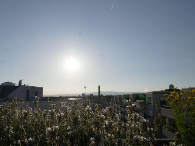 Near to Bergerstrasse/Merianplatz, new building, Frankfurt Amsterdam Apartments for Rent
