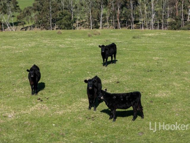 Nearly 29 Hectares of Beautiful Vacant Farming Land