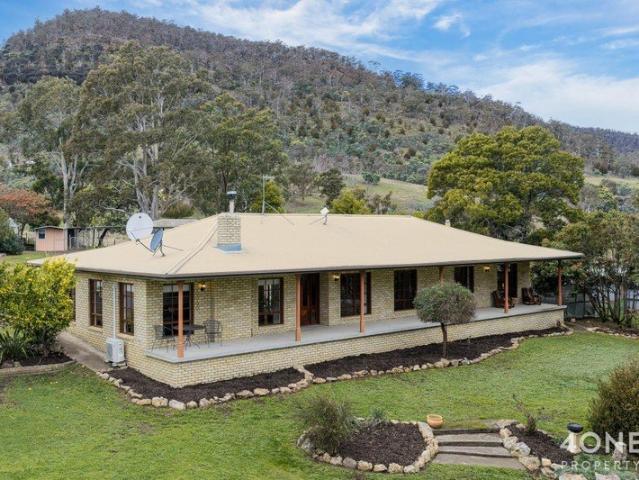 Nearly Five Acres to Live, Gather and Grow