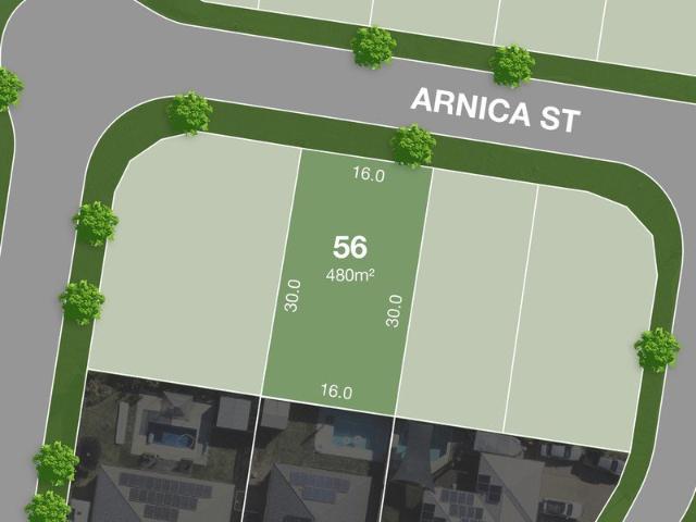 Nearly Registered 480m2 North Facing Lot!