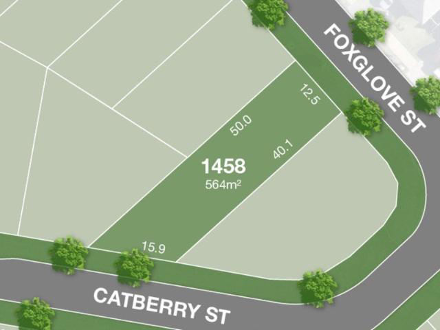Nearly Registered 564m2 Lot!