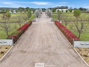 Need more than 4,000m2 approx. 1 acre ?