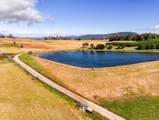 Needlesdale A 200 Acre Agricultural Gem with Water Security & Exceptional Potential